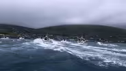 The Islands and The Whales: The Grind