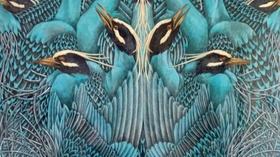 Video thumbnail: KLRN ARTS May 26, 2016 | Inspiration from the avian world