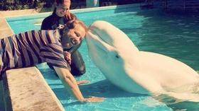 Video thumbnail: KLRN SciTech Now Oct. 14, 2016 | The science behind the awe at SeaWorld