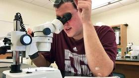Video thumbnail: KLRN SciTech Now Nov. 18, 2016 | Texas A&M studies Zika Virus