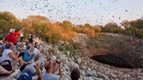 Video thumbnail: Texas Week June 7, 2013 | Bat Cave Controversy