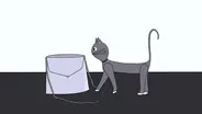 Cat's Night Out