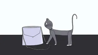 Cat's Night Out