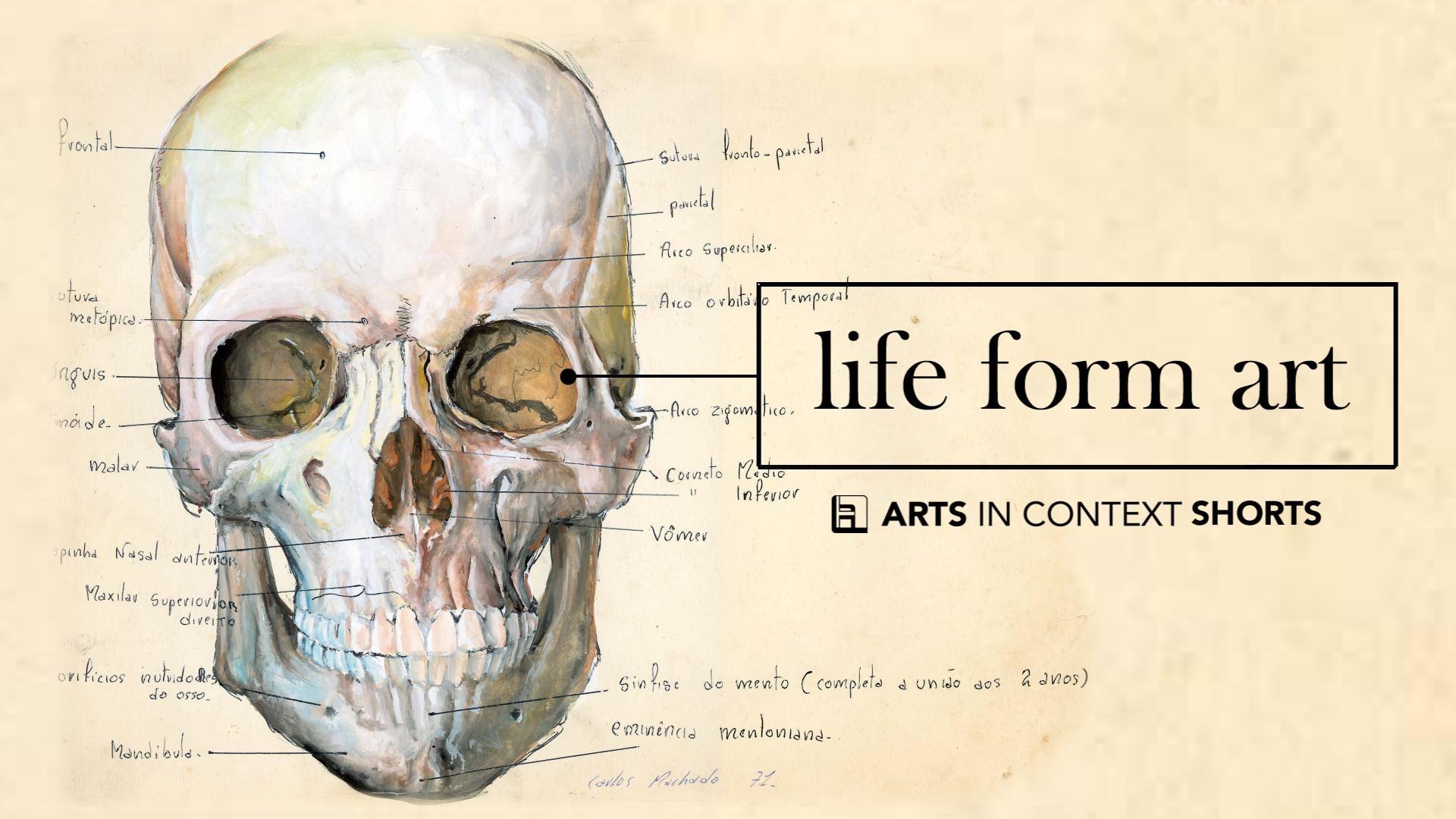 Arts in Context | Life Form Art | PBS