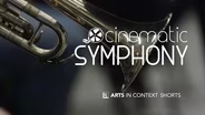 Cinematic Symphony