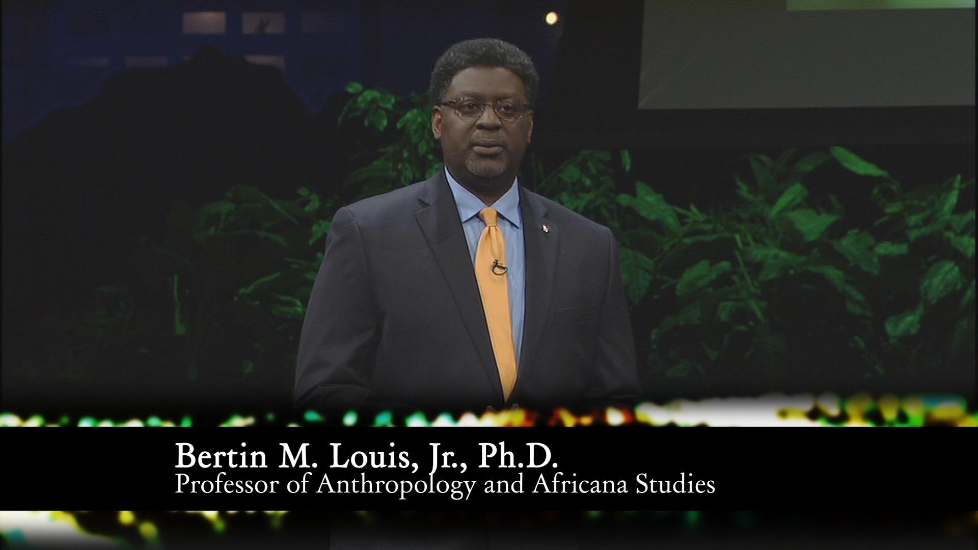 Louis / Foster Blackademics TV THIRTEEN New York Public Media