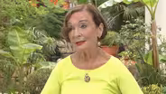 Spanish & Mexican Garden Design