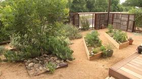 Video thumbnail: Central Texas Gardener Mix Edibles with Wildlife Food