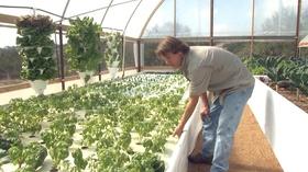 Video thumbnail: Central Texas Gardener Top Tomato Tips