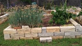 Video thumbnail: Central Texas Gardener Why Grow Organically