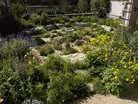The Water_-Saving Garden