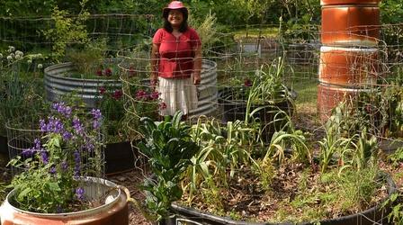 Video thumbnail: Central Texas Gardener Healing, Helpful Plants
