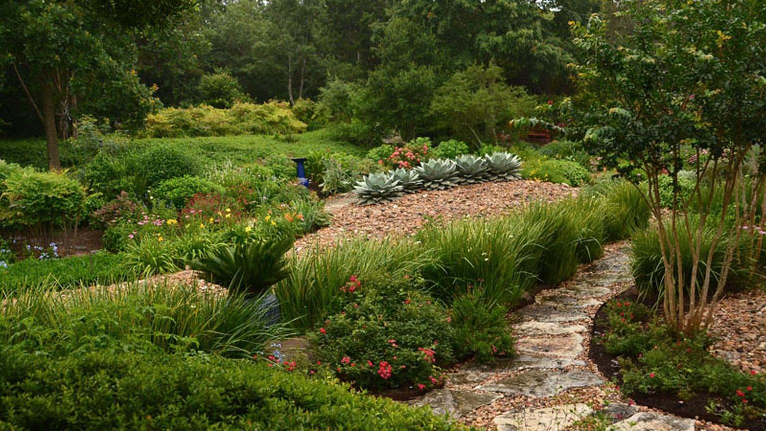 Key Tips for Picking & Planting Trees Central Texas Gardener PBS