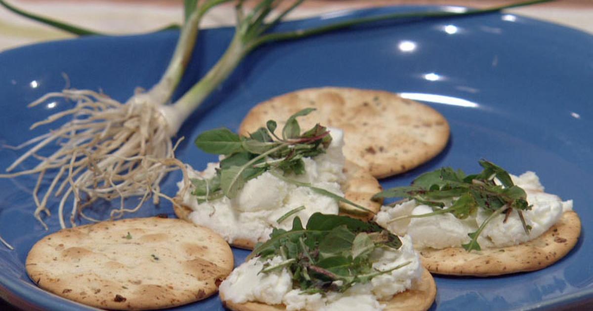 Edible Native Plants Central Texas Gardener PBS