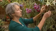 Susan Orlean The Orchid Thief