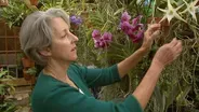 Susan Orlean The Orchid Thief