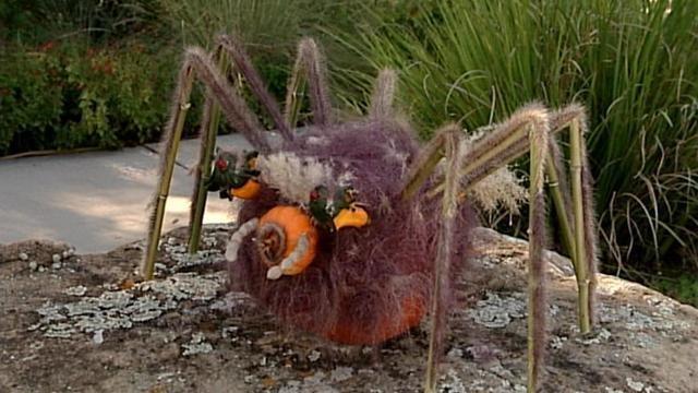 San Antonio Garden Conservancy Tour