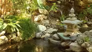 Austin Pond and Garden Tour 2011