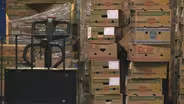 Travis County Food Stamps
