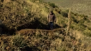 El Paso Trails, Saving Some Bison & Shifting Sands