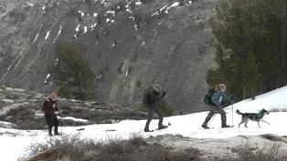Snowshoeing in the Ruby Mountains