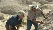 Fossil Hunting at Tule Springs