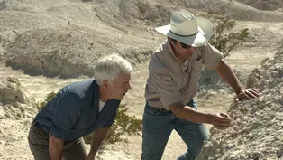 Fossil Hunting at Tule Springs