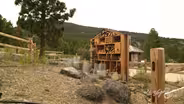 Protecting Pollinators: Visiting an 'Insect Hotel' for Bees at Galena Creek