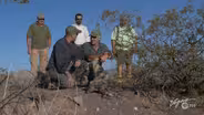 Tracking the Threatened Desert Tortoise, Nevada's State Reptile