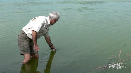 Video thumbnail: Outdoor Nevada Fishing at Floyd Lamb State Park
