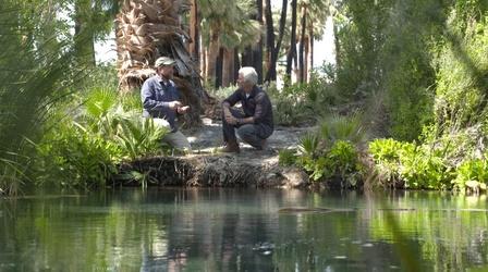 Video thumbnail: Outdoor Nevada Back from the Brink