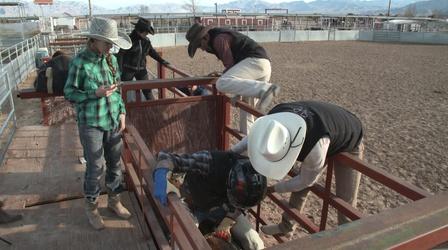 Video thumbnail: Outdoor Nevada A Full-On Cowboy Experience