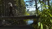 Virginia City's Water System That Build the Comstock Lode
