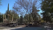 Hidden Oasis in Las Vegas: Exploring the Springs Preserve
