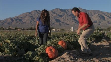 Video thumbnail: Southwest Living Roses, Gilcrease Farms, Southwest Thanksgiving Recipes