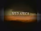 Wild Africa Promo