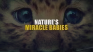 Nature's Miracle Babies Promo