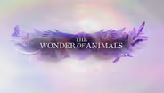 The Wonder of Animals Promo