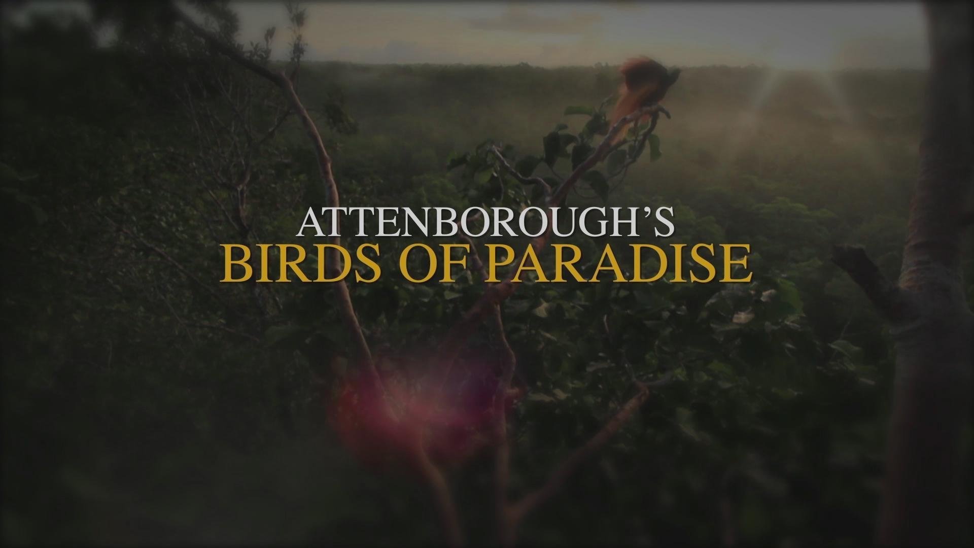 Bird paradise coupons