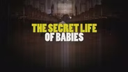 The Secret Life of Babies Promo