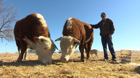 Video thumbnail: Show-Me Ag Show Me Ag #1403 Veterinary Feed Directive