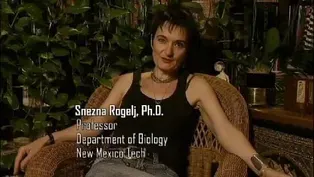 Snezna Rogelj, Ph.D.