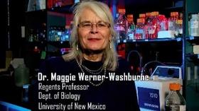 Video thumbnail: Why did you become a scientist? Maggie Werner-Washburne