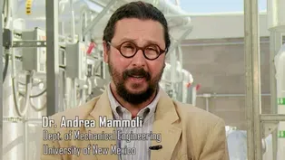 Dr. Andrea Mammoli