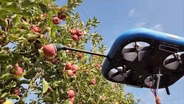 Apple Bots