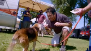 Pet Perfect