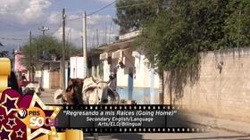 Video thumbnail: California Student Media Festival Regresando a mis raíces