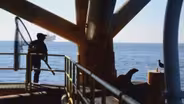 Sea Lion Rescue