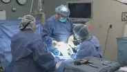 Surgeon Brothers