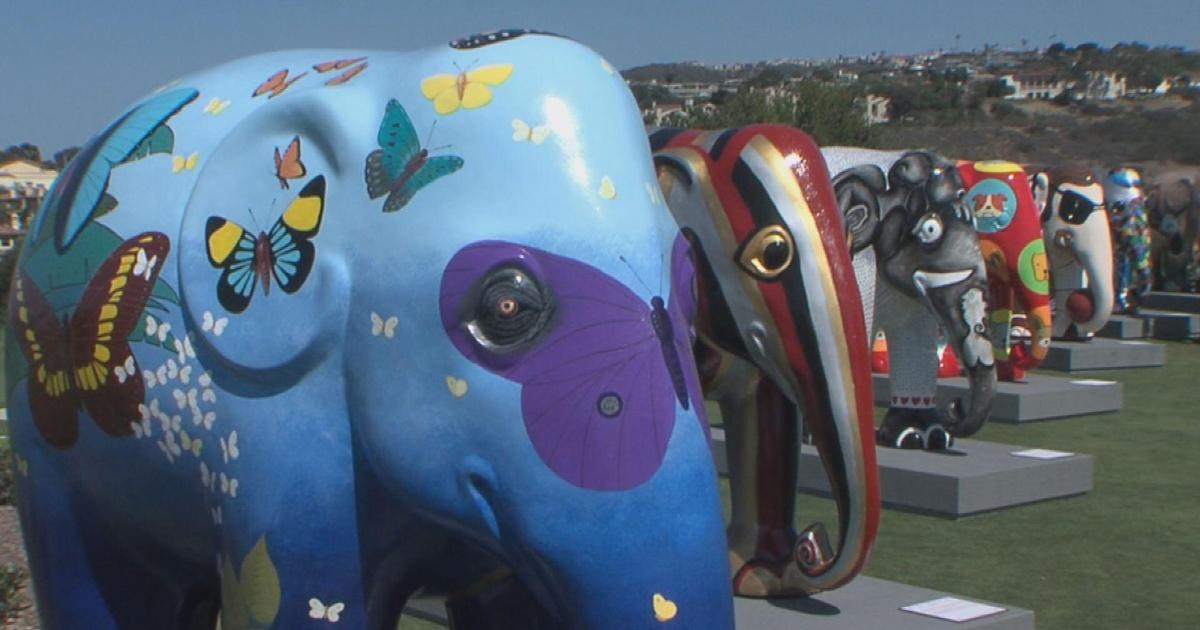Real Orange Elephant Parade PBS